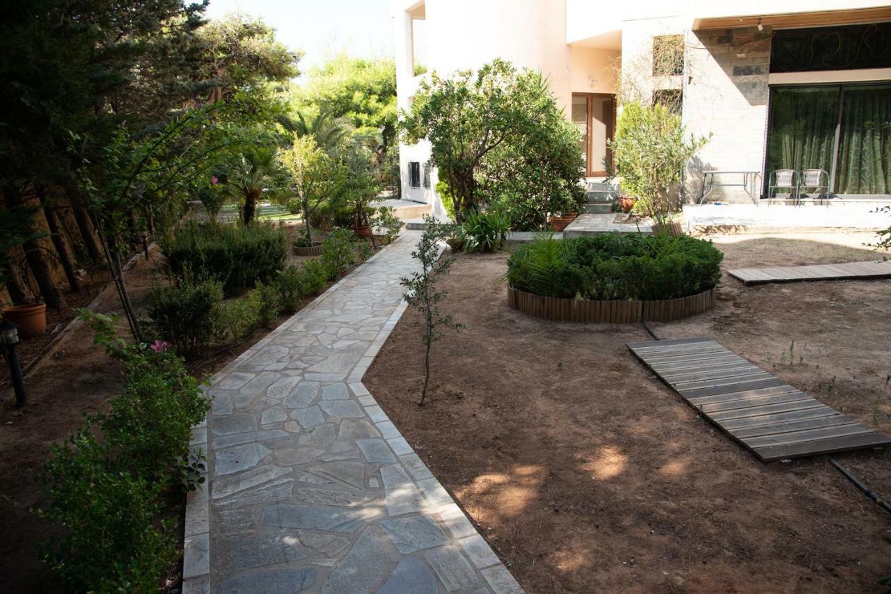 Cozy Loft 360O View Of Athens Διαμέρισμα Εξωτερικό φωτογραφία
